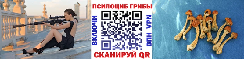 Псилоцибиновые грибы Psilocybine cubensis Черепаново