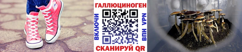 Псилоцибиновые грибы Magic Shrooms  Черепаново 